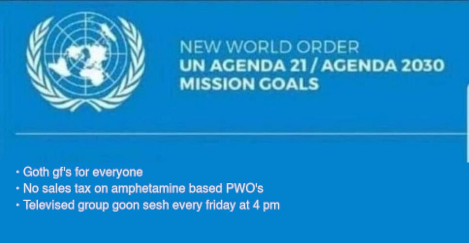 NEW WORLD ORDER AGENDA 21/ AGENDA 2030 MISSION GOALS Goth gf's for everyone No sales tax on amphetamine based PWO's Televised group goon sesh every friday at 4