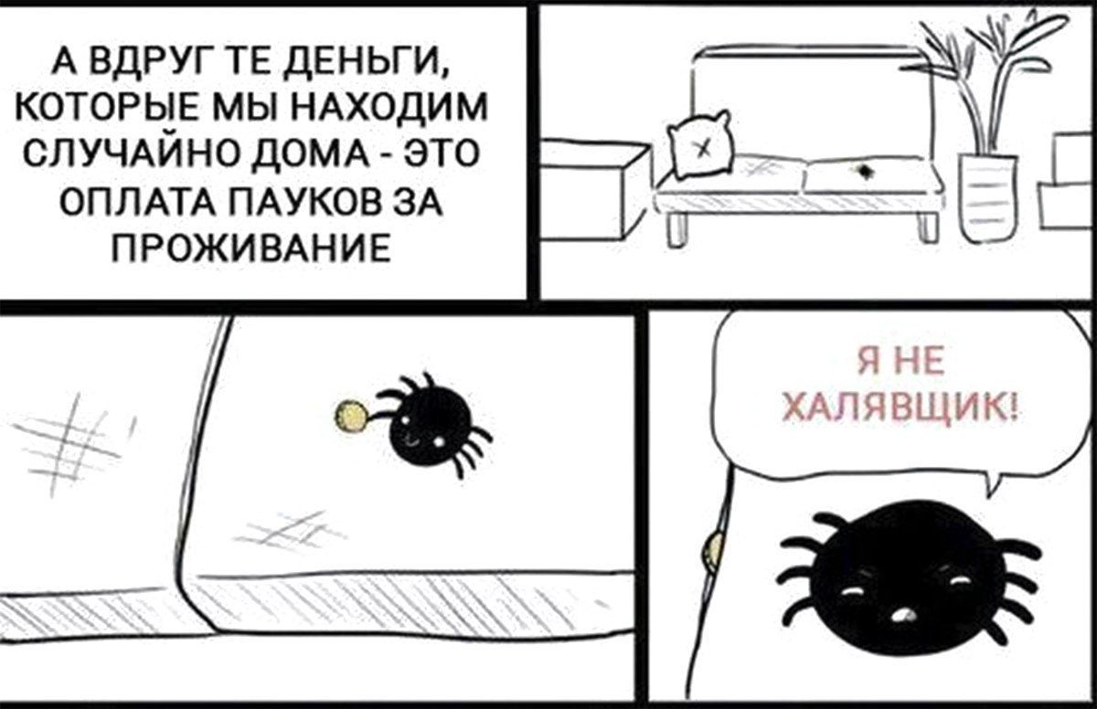 А ВДРУГ ДЕНЬГИ, КОТОРЫЕ МЫ НАХОДИМ СЛУЧАИНО ДОМА ЭТО ОПЛАТА ПАУКОВ ЗА ПРОЖИВАНИЕ