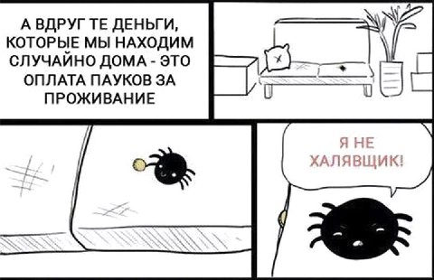 А ВДРУГ ДЕНЬГИ, КОТОРЫЕ МЫ НАХОДИМ СЛУЧАИНО ДОМА ЭТО ОПЛАТА ПАУКОВ ЗА ПРОЖИВАНИЕ