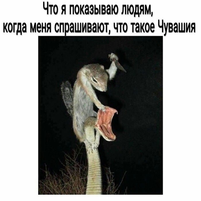 Что я показываю людям, когда меня спрашивают, что такое Чувашия