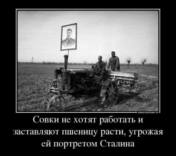 и, Совки не хотят работать и заставляют пшеницу расти, угрожая портретом Сталина