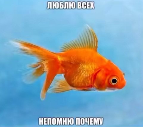 ЛЮБЛЮ ВСЕХ НЕПОМНЮ ПОЧЕМУ