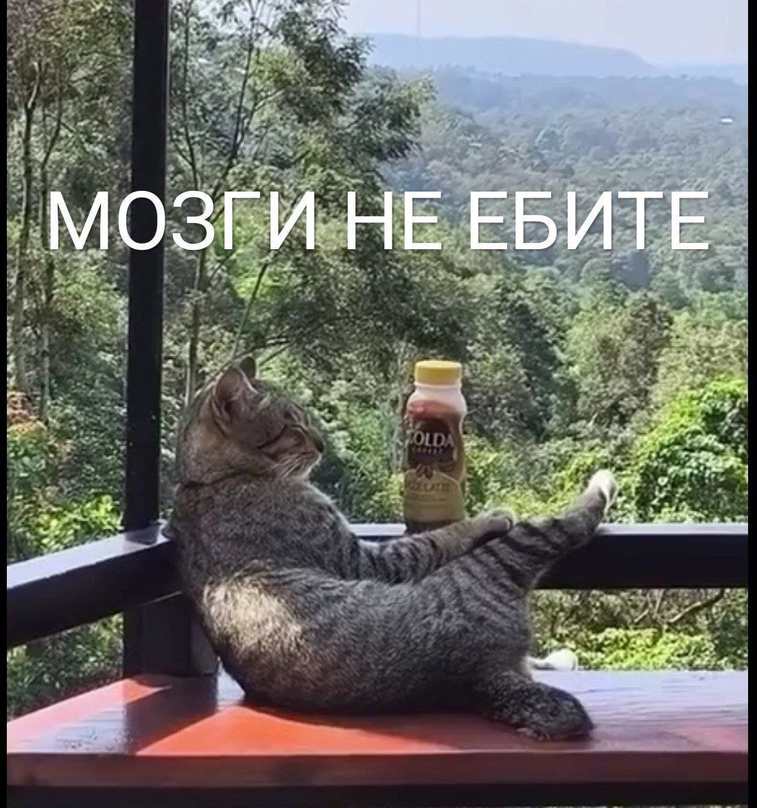 _МОЗГИ НЕ ЕБИТЕ A