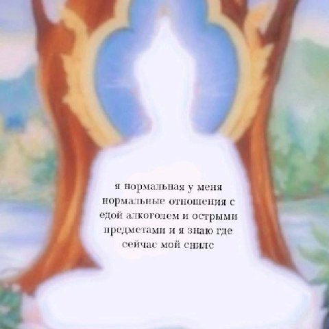 Я a я нормальная у меня нормальные отношения с едой алкоголем и острыми предметами и я знаю где сейчас мой снилс