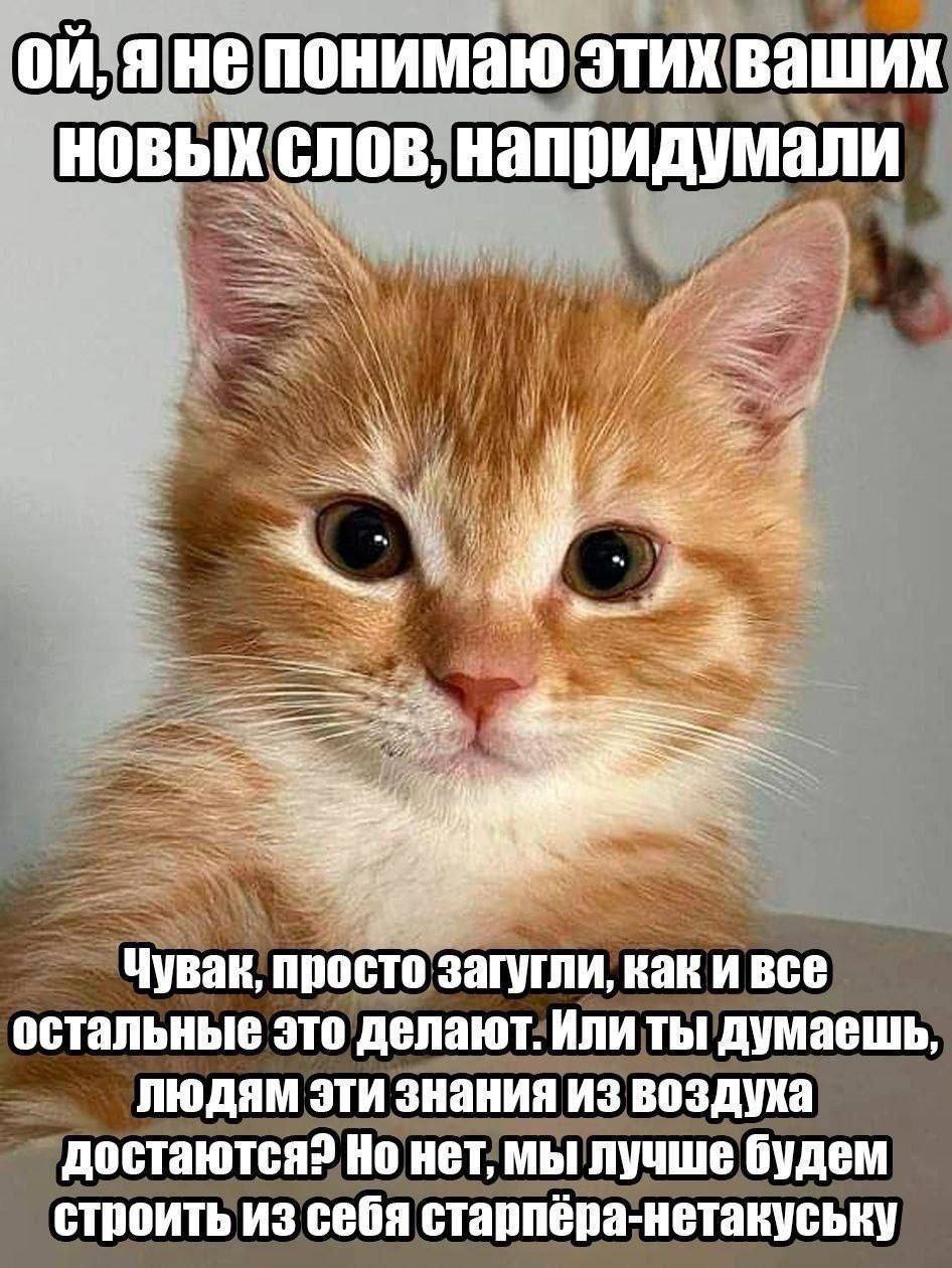 яне понимаю этих ваших слов, напридумали Чувак, просто загугли, как и все остальные это делают. Или ты думаешь, людям эти знания из воздуха достаются? Но нет, мы лучше будем строить из себя старпёра-н