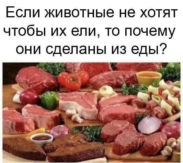 Если животные не хотят чтобы ели, то почему они сделаны из еды?