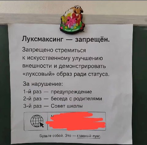 Луксмаксинг запрещён. Запрещено стремиться к искусственному улучшению внешности и демонстрировать «луксовый» образ ради статуса. За нарушение: раз предупреждение раз беседа с родителями раз Совет школ