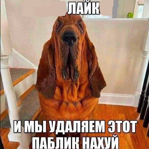 ИМЫ УДАЛЯЕМ ЭТОТ ПАБЛИК НАХУЙ