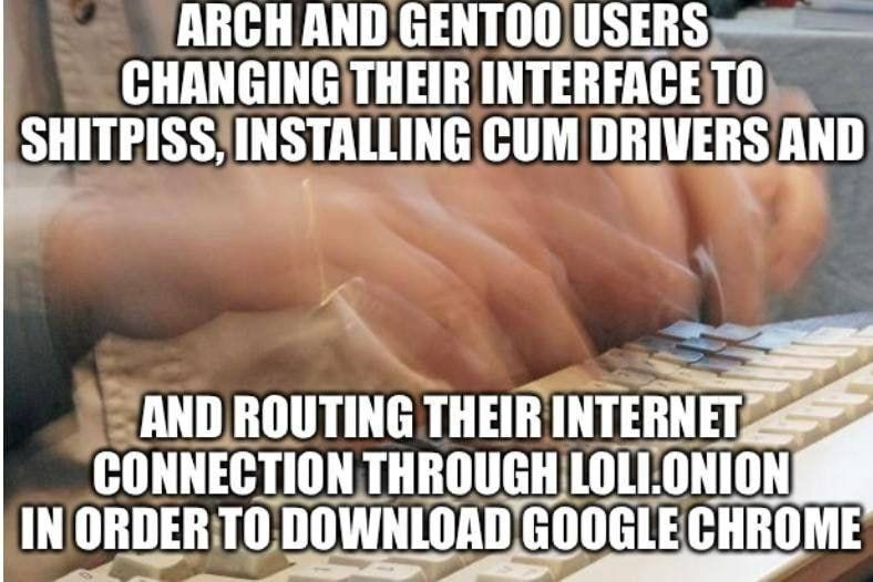 ARCH AND GENTOO USERS CHANGING THEIR INTERFACE ТО SHITPISS, INSTALLING CUM DRIVERS AND AND ROUTING THEIR CONNECTION THROUGH LOLI.ONION IN ORDER То DOWNLOAD GOOGLE CHROME