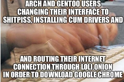 ARCH AND GENTOO USERS CHANGING THEIR INTERFACE ТО SHITPISS, INSTALLING CUM DRIVERS AND AND ROUTING THEIR CONNECTION THROUGH LOLI.ONION IN ORDER То DOWNLOAD GOOGLE CHROME