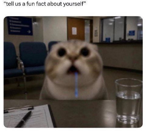 “tell а fun fact about yourself”
