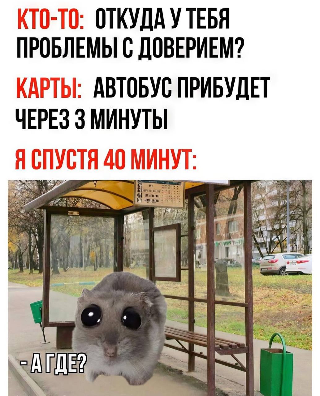 КТО-ТО: ОТКУДА У ТЕБЯ ПРОБЛЕМЫ С ДОВЕРИЕМ? КАРТЫ: АВТОБУС ПРИБУДЕТ ЧЕРЕЗ 3 МИНУТЫ Я СПУСТЯ 40 МИНУТ: We a