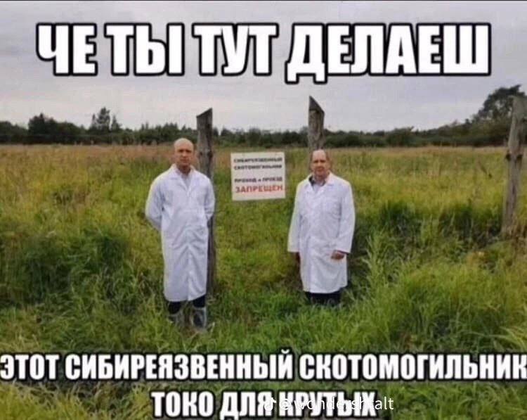 4 ЭТОТ СИБИРЕЯЗВЕННЫЙ СКОТОМОГИЛЬНИК TOKO