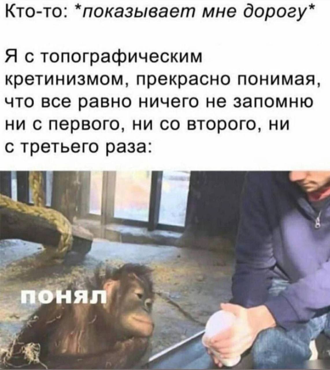 Кто-то: *показывает мне дорогу* Я кретинизмом, прекрасно понимая, что все равно ничего не запомню ни с первого, ни второго, ни с третьего раза: понял’