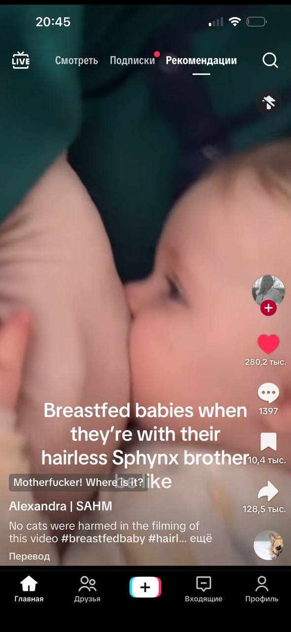 20:45 LIVE Смотреть Подписки Рекомендации an 280,2 тыс Breastfed babies мтеп with their hairless Sphynx Бго{Пегол тыс Motherfucker! Where is it? ike Alexandra SAHM 128,5 тыс No cats were harmed in the