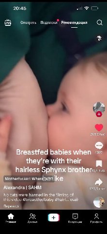 20:45 LIVE Смотреть Подписки Рекомендации an 280,2 тыс Breastfed babies мтеп with their hairless Sphynx Бго{Пегол тыс Motherfucker! Where is it? ike Alexandra SAHM 128,5 тыс No cats were harmed in the