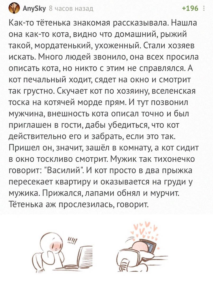 AnySky 8 часов назад +196 Как-то тётенька знакомая рассказывала. Нашла она как-то кота, видно что домашний, рыжий такой, мордатенький, ухоженный. Стали хозяев искать. Много людей звонило, она всех про