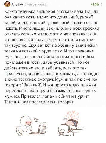 AnySky 8 часов назад +196 Как-то тётенька знакомая рассказывала. Нашла она как-то кота, видно что домашний, рыжий такой, мордатенький, ухоженный. Стали хозяев искать. Много людей звонило, она всех про