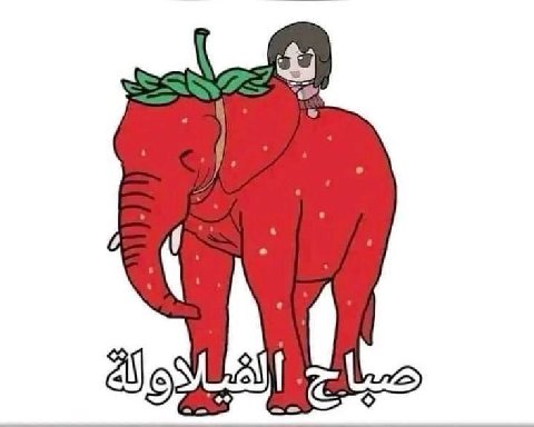 \ alg €
