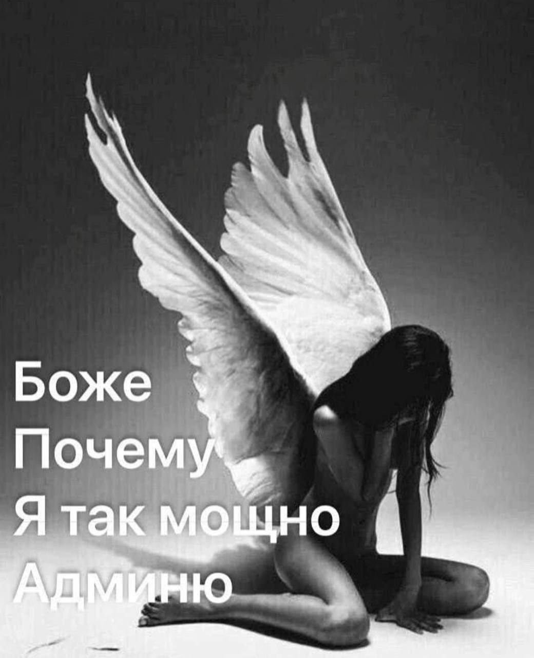 Боже Поч