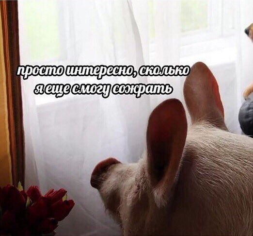 просто интересно;