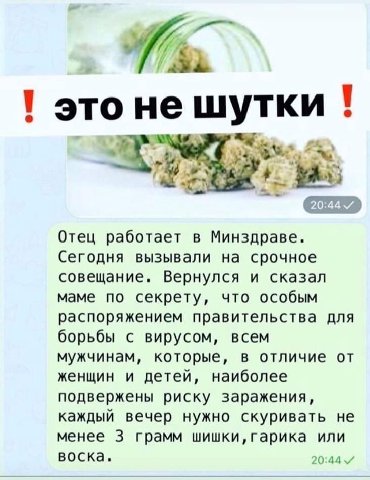 Я это нешутки Отец работает в Минздраве. Сегодня вызывали на срочное совещание. Вернулся и сказал маме по секрету, что особым распоряжением правительства для борьбы с вирусом, всем мужчинам, которые, 