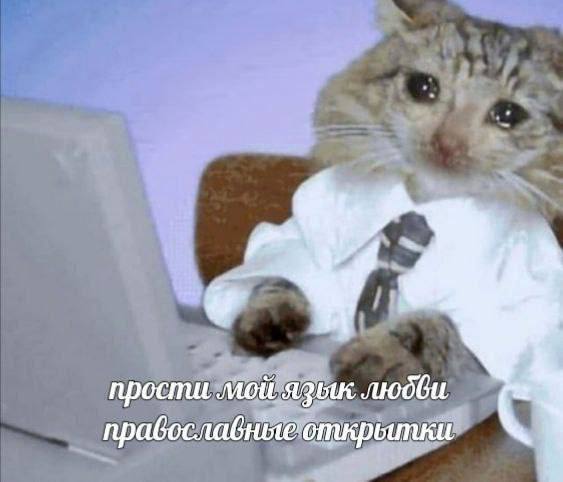 прости мой язык любви