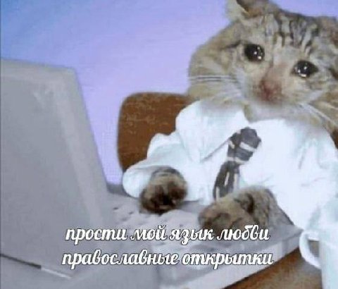 прости мой язык любви