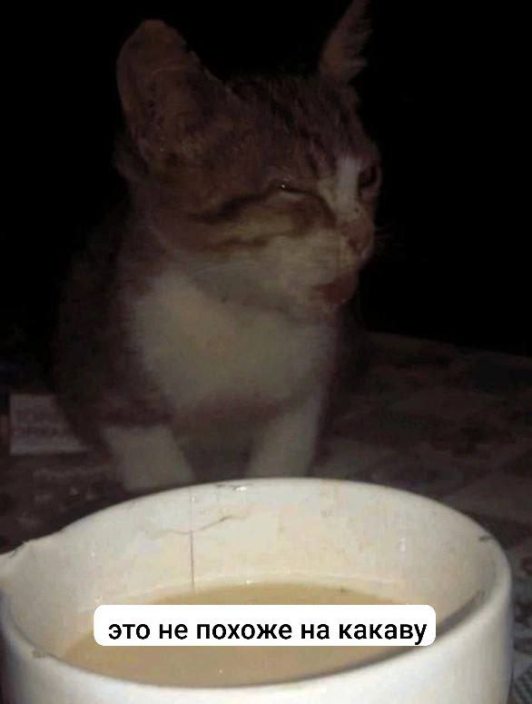это не похоже на какаву