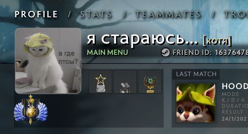PROFILE я стараюсь... 16376478 HOOD