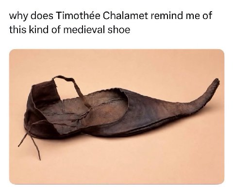 why does Timothée Chalamet remind me of this kind of medieval shoe