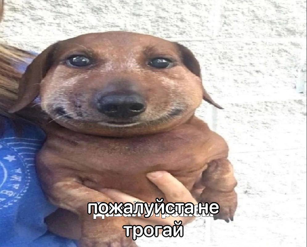 пожалуй стане