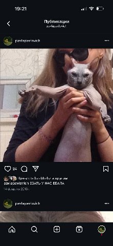 19:21 all Публикации paviapavlovich 4 у а У Нравится bzzbbzbz и другим ЕБАТЬ У HAC ЕБАЛА 14 февраля 2016 pavlapavlovich eee a