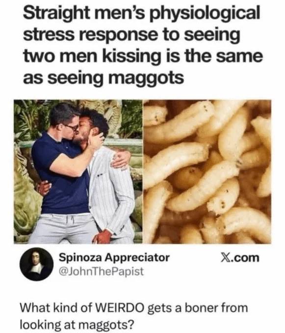 Straight men’s physiological stress response to seeing two men kissing is the same as seeing maggots Spinoza Appreciator X.com @JohnThePapist What kind of WEIRDO gets a boner from looking at maggots?