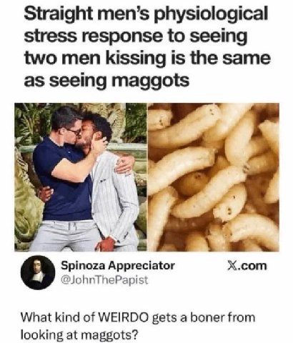 Straight men’s physiological stress response to seeing two men kissing is the same as seeing maggots Spinoza Appreciator X.com @JohnThePapist What kind of WEIRDO gets a boner from looking at maggots?