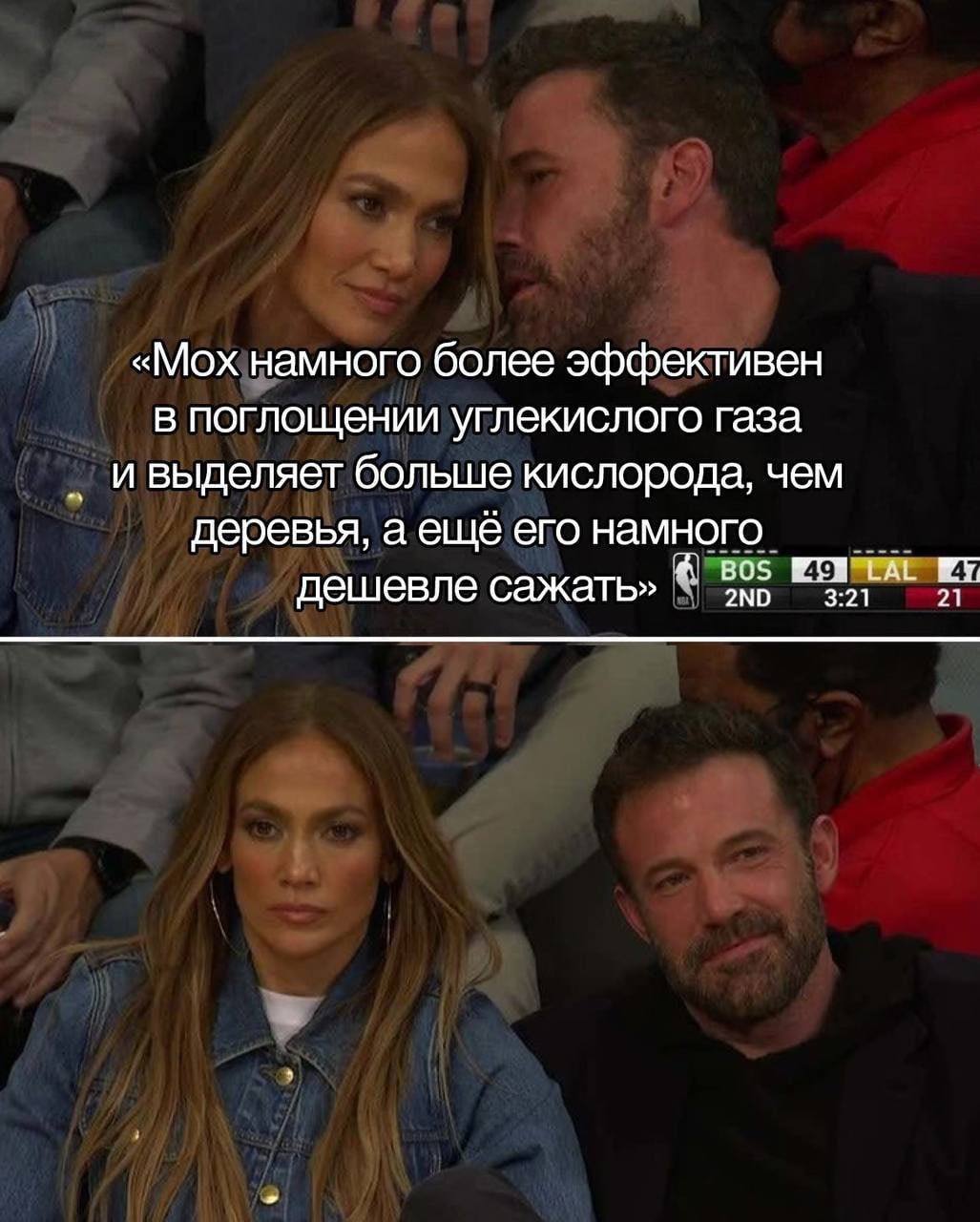 «Мох намного более эффективен в поглощении углекислого газа и выделяет больше кислорода, чем деревья, а ещё его намного Bos дешевле сажать» 3:21 21