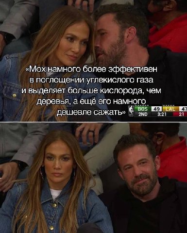 «Мох намного более эффективен в поглощении углекислого газа и выделяет больше кислорода, чем деревья, а ещё его намного Bos дешевле сажать» 3:21 21