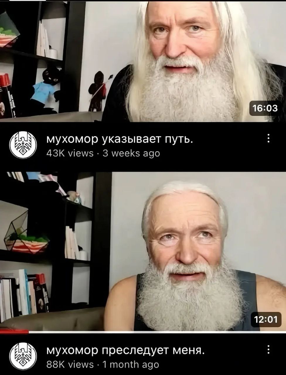 и A 16:03 мухомор указывает путь. views 3 weeks ago мухомор преследует меня. views 1 month ago