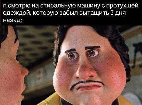 я смотрю на стиральную машину с протухшей одеждой, которую забыл вытащить 2 дня назад: