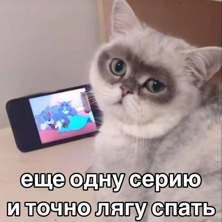 еще одну серию и точно лягу спать