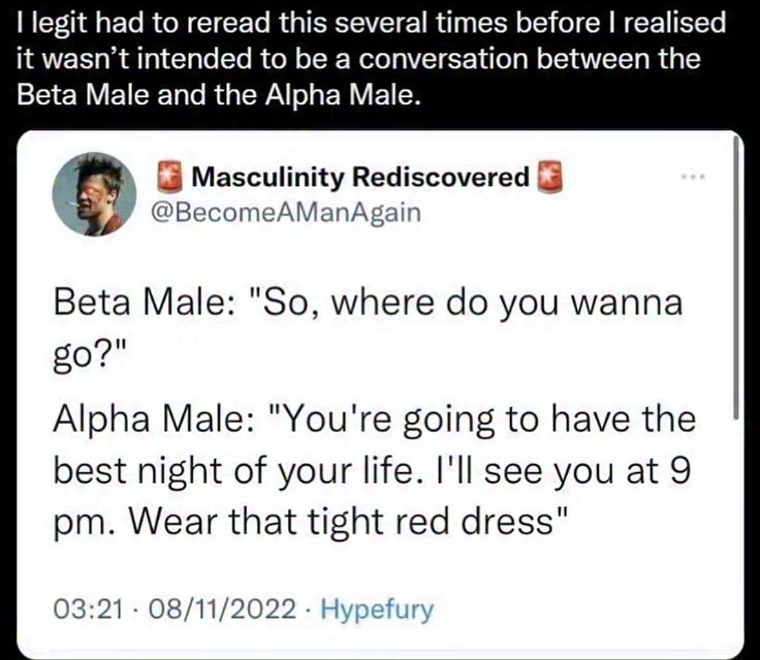 legit had to reread this several times before realised it wasn’t intended to be a conversation between the Beta Male and the Alpha Male (3 Masculinity Rediscovered 3 @BecomeAManAgain Beta Male: "So, w