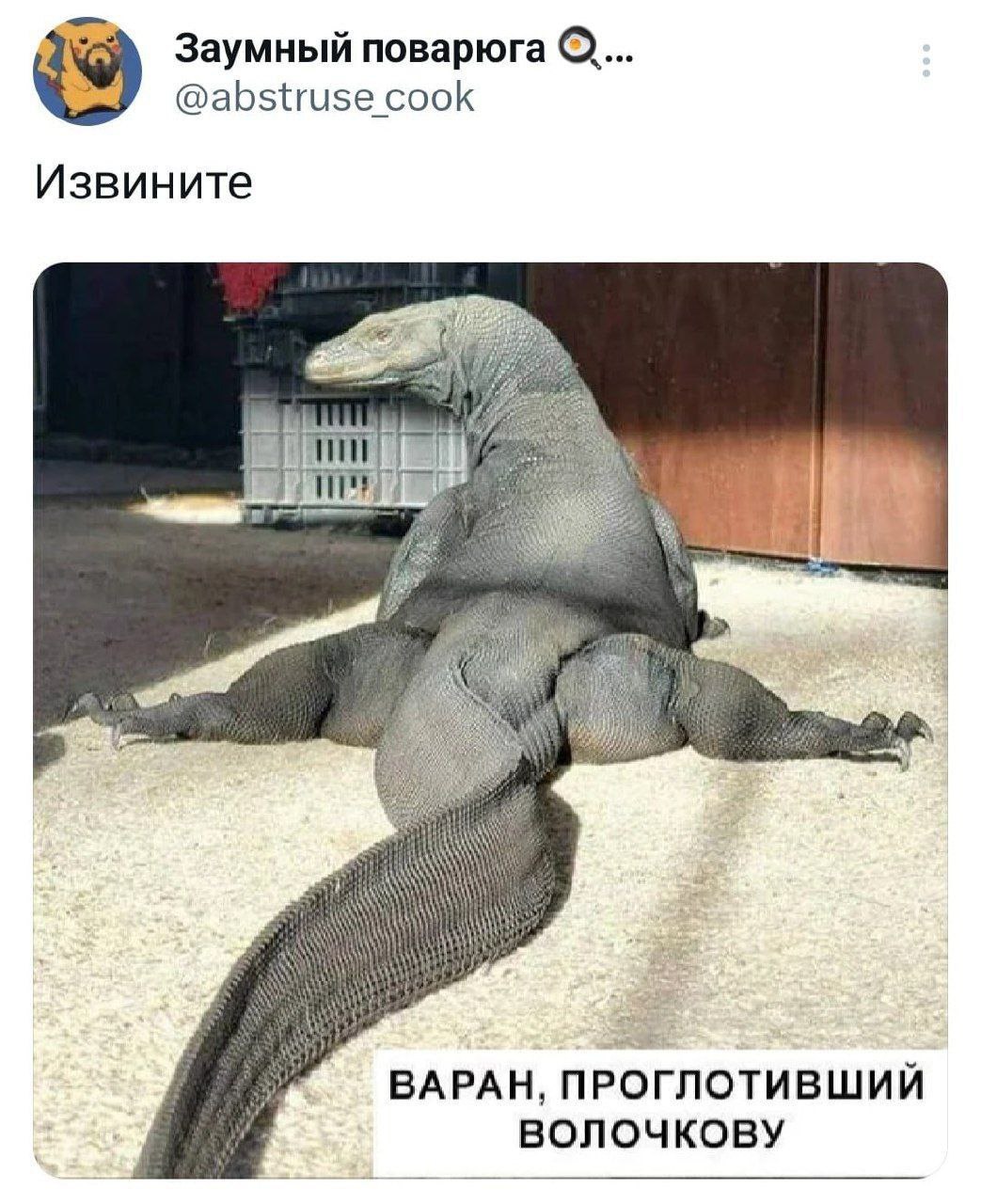 Заумный поварюга О... @abstruse cook Извините BAPAH, ПРОГЛОТИВШИЙ ВОЛОЧКОВУ