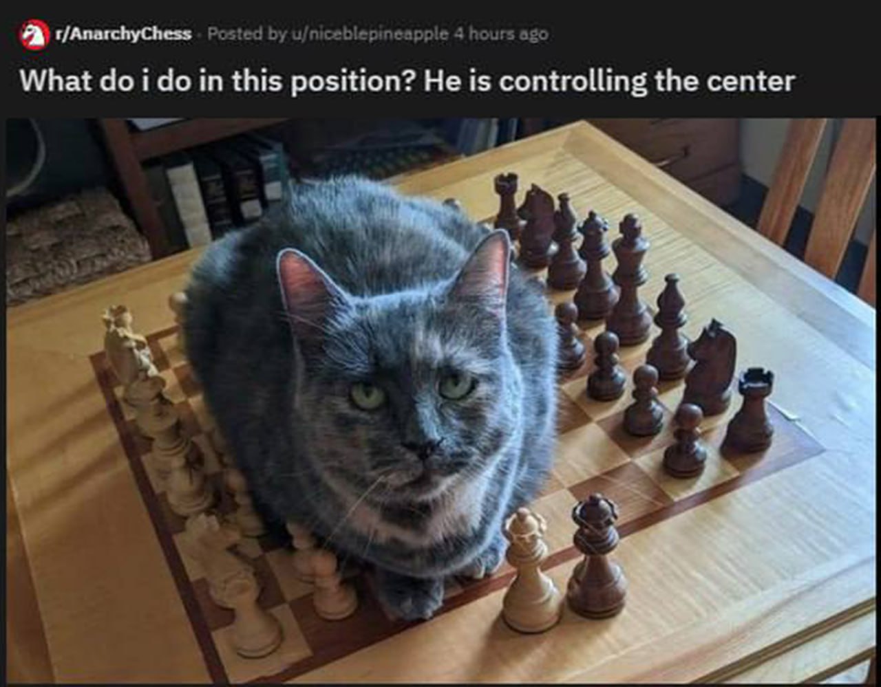 Я What i in this position? Не is controlling the center «У