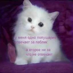 я одно пол за паблик