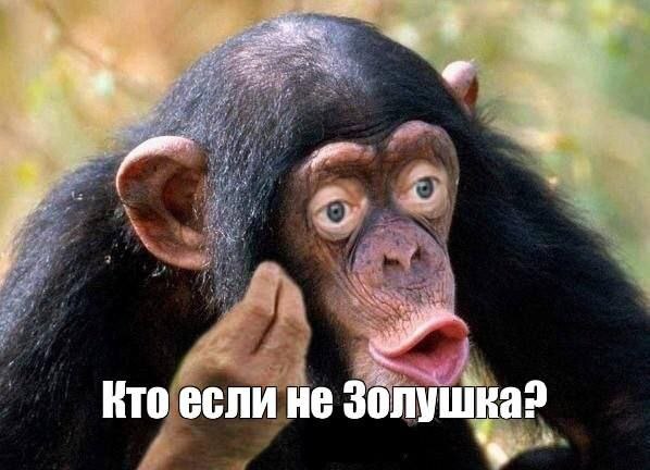 KTO если не Золушка? a