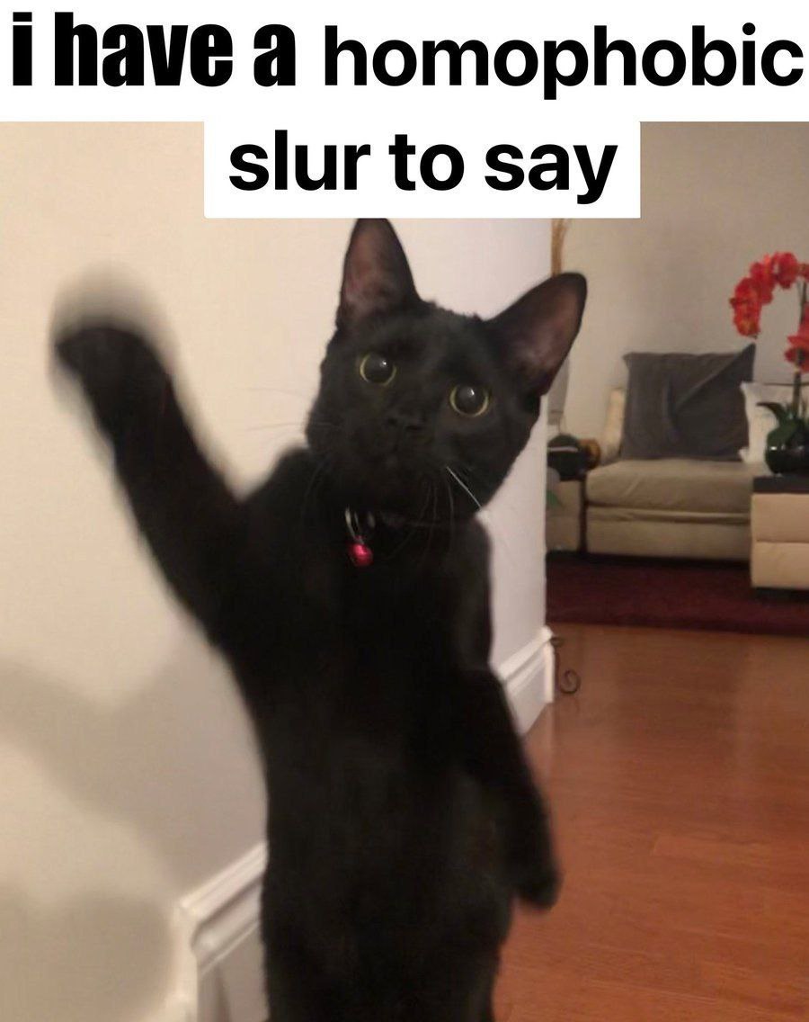 а homophobic slur to say