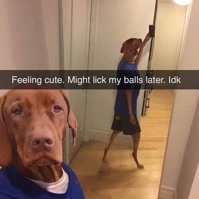 Feeling cute. Might lick my balls later. Idk