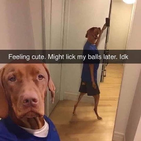 Feeling cute. Might lick my balls later. Idk