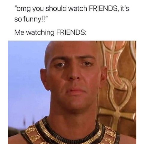 “omg you should watch FRIENDS, it's so funny!!" Me watching FRIENDS: