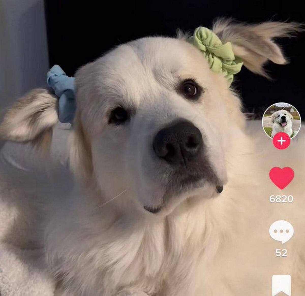 гн